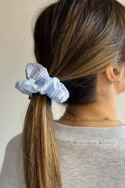 Goma de pelo